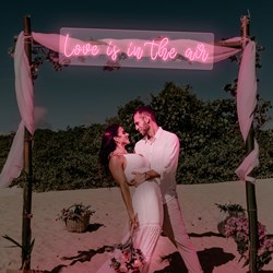Zeige Details für Neon für Hochzeit "Love is in the air" Bild von Neon für Hochzeit "Love is in the air"