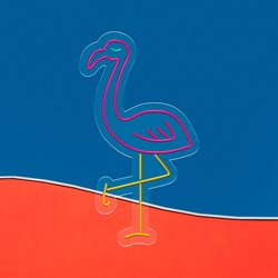 Zeige Details für Neon Flamingo Bild von Neon Flamingo