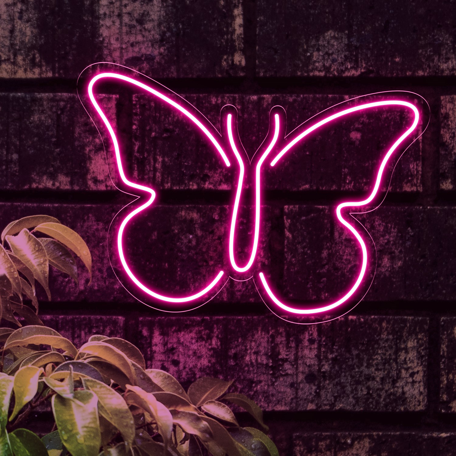 Picture of Simple Butterfly Neon Sign
