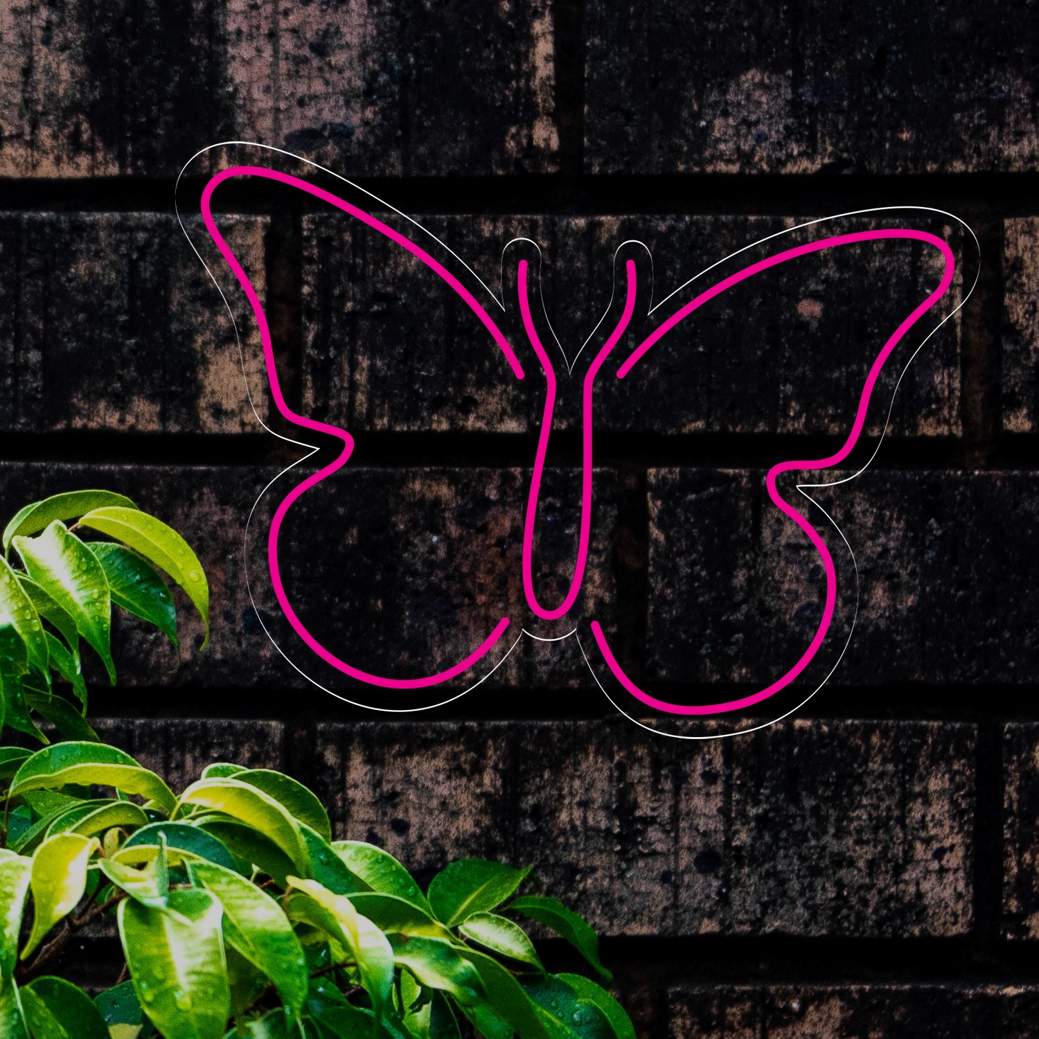 Picture of Simple Butterfly Neon Sign